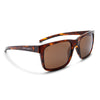 Tortoise/Brown