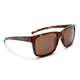 Tortoise/Brown